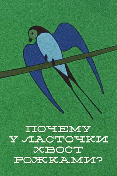 Почему у ласточки хвостик рожками смотреть онлайн